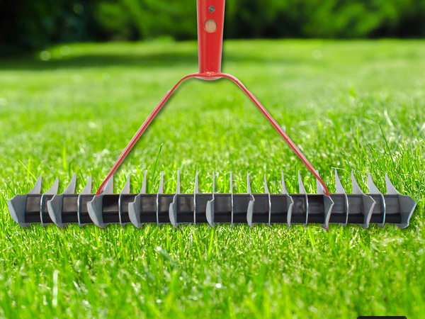 What is Scarifying your lawns?
